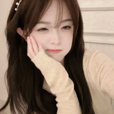 完美拍档2017